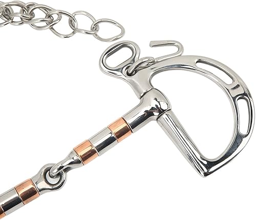 Miniatura 5 de TOPINCN Brocas de caballo Snaffle de acero inoxidable Pelham Horse Bit Accesorio ecuestre D Ring Snaffle Bit con cadena para boca de caballo de