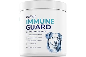 Buddy Guard: A Dog's Best Defense