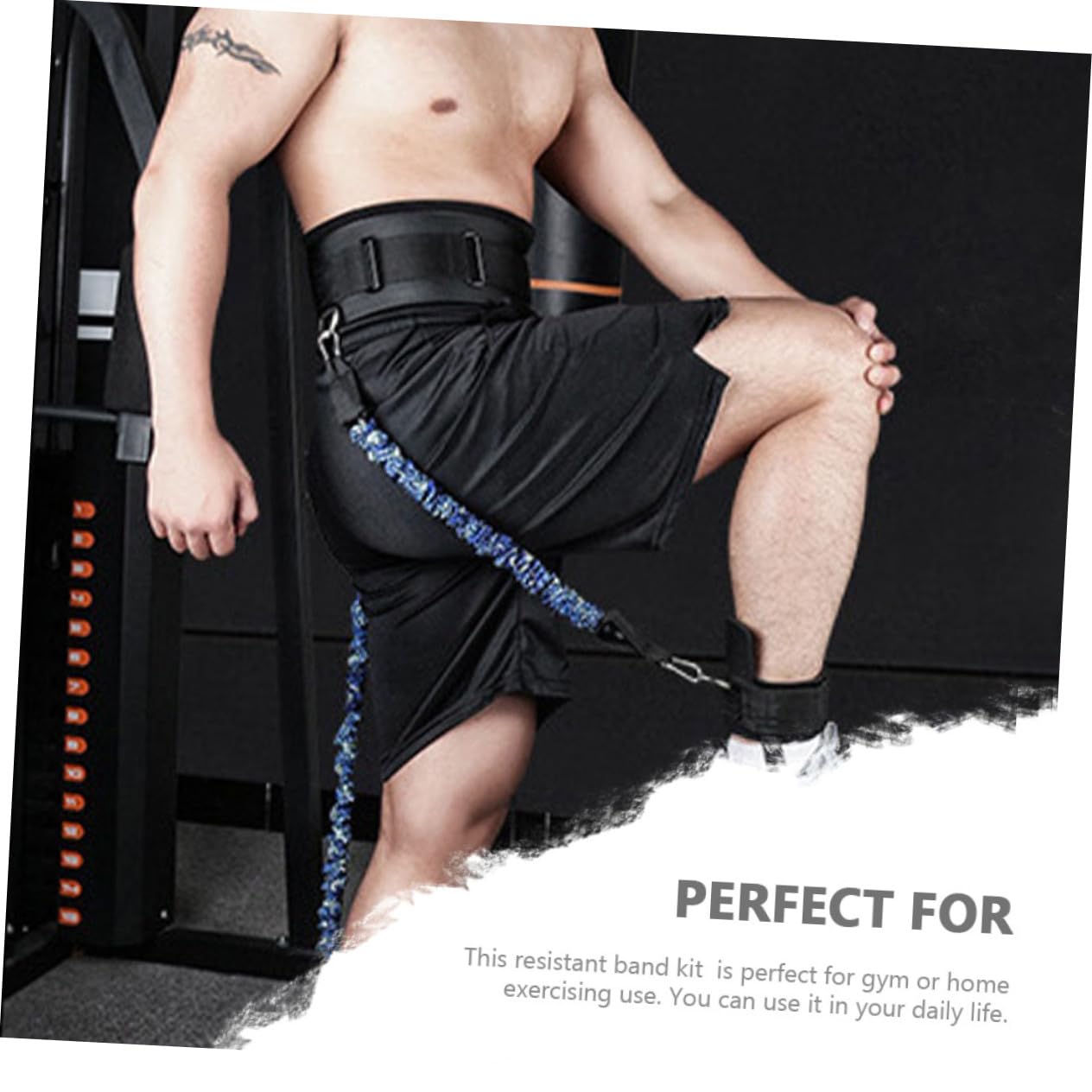 Toddmomy Banda de Resistencia para Tobillos Kit de Bandas Resistentes para Fitness Herramienta para Entrenar la Fuerza Piernas Casa de Salto Reutilizables para Ejercicios Interiores