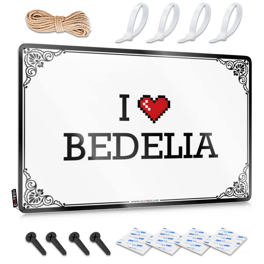 Tin Wall Decor Country Retro Home Decor Home Decor - I Love Bedelia Haves Rustic Style Artwork For Gym(30X40CM)