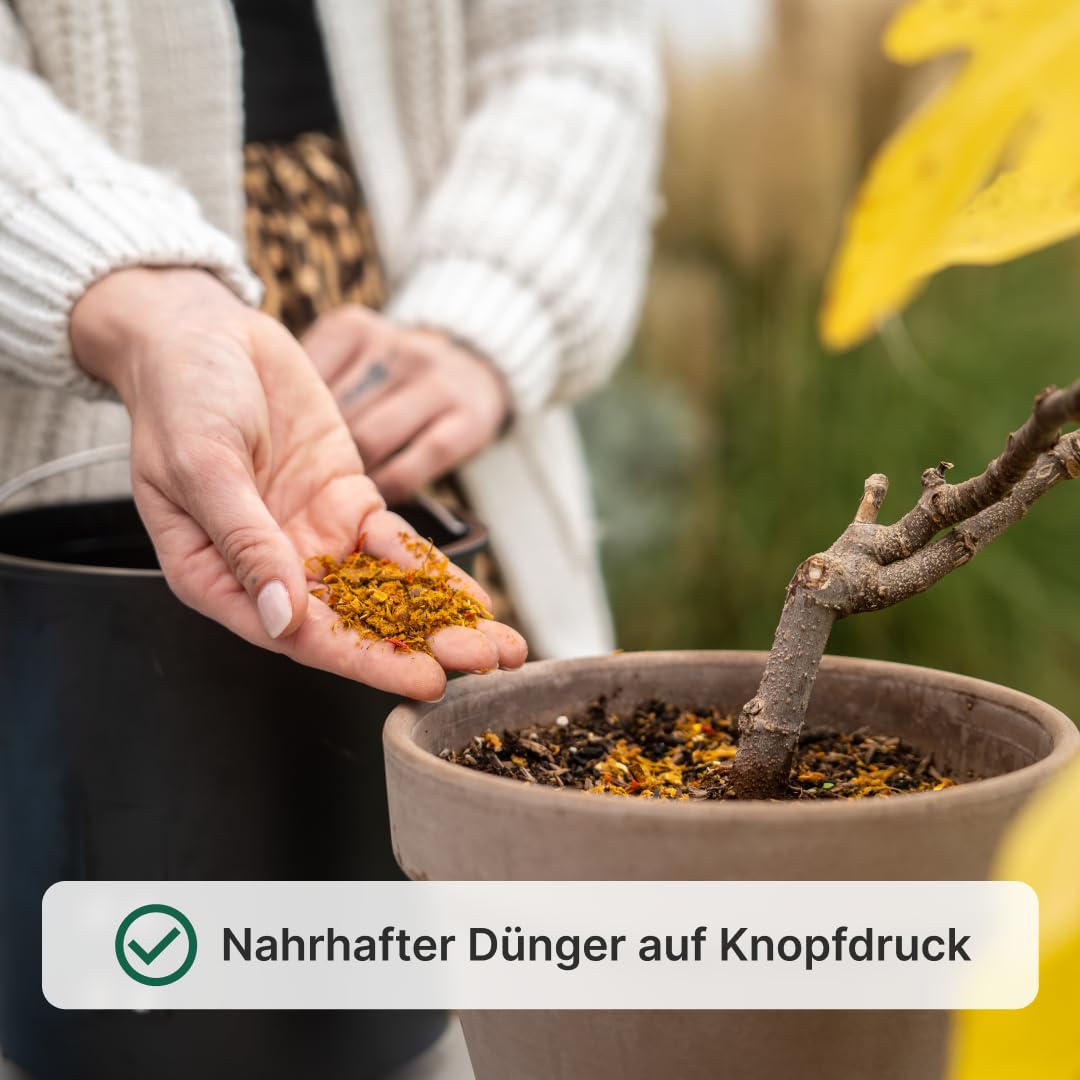 Elektrischer Küchenkomposter 4L | Verwandelt Deine Abfälle mit einem klick in Dünger | WeEarth Elektrischer Komposter (Schwarz)