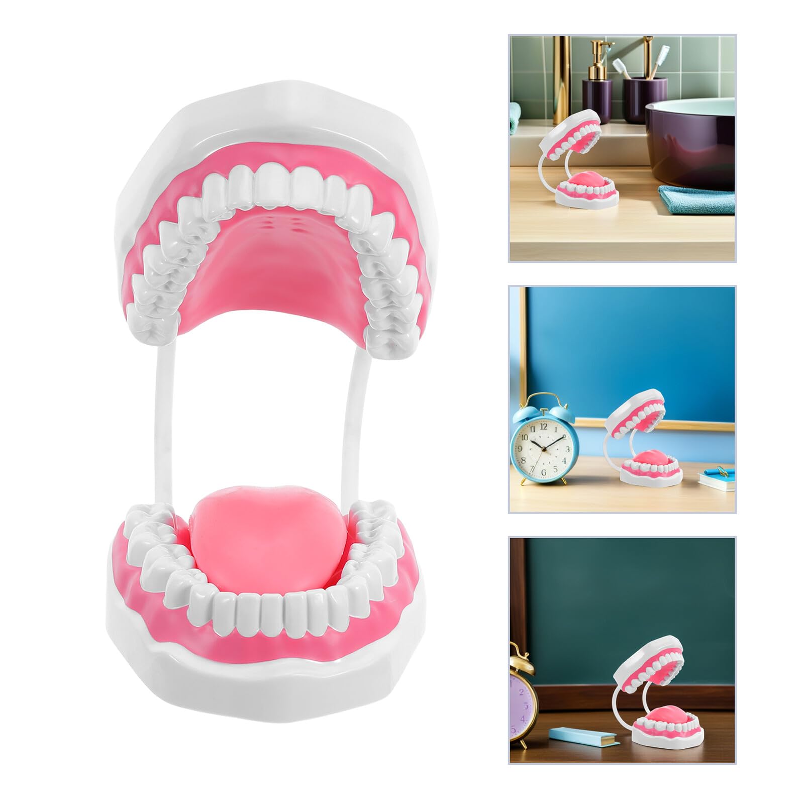 Ipetboom Modello Adulto Ingrandito in Plastica Bianca per Igiene Orale Kit Educativo per Insegnamento Spazzolatura e Pulizia Struttura Realistica con Radici per Formazione Professionale