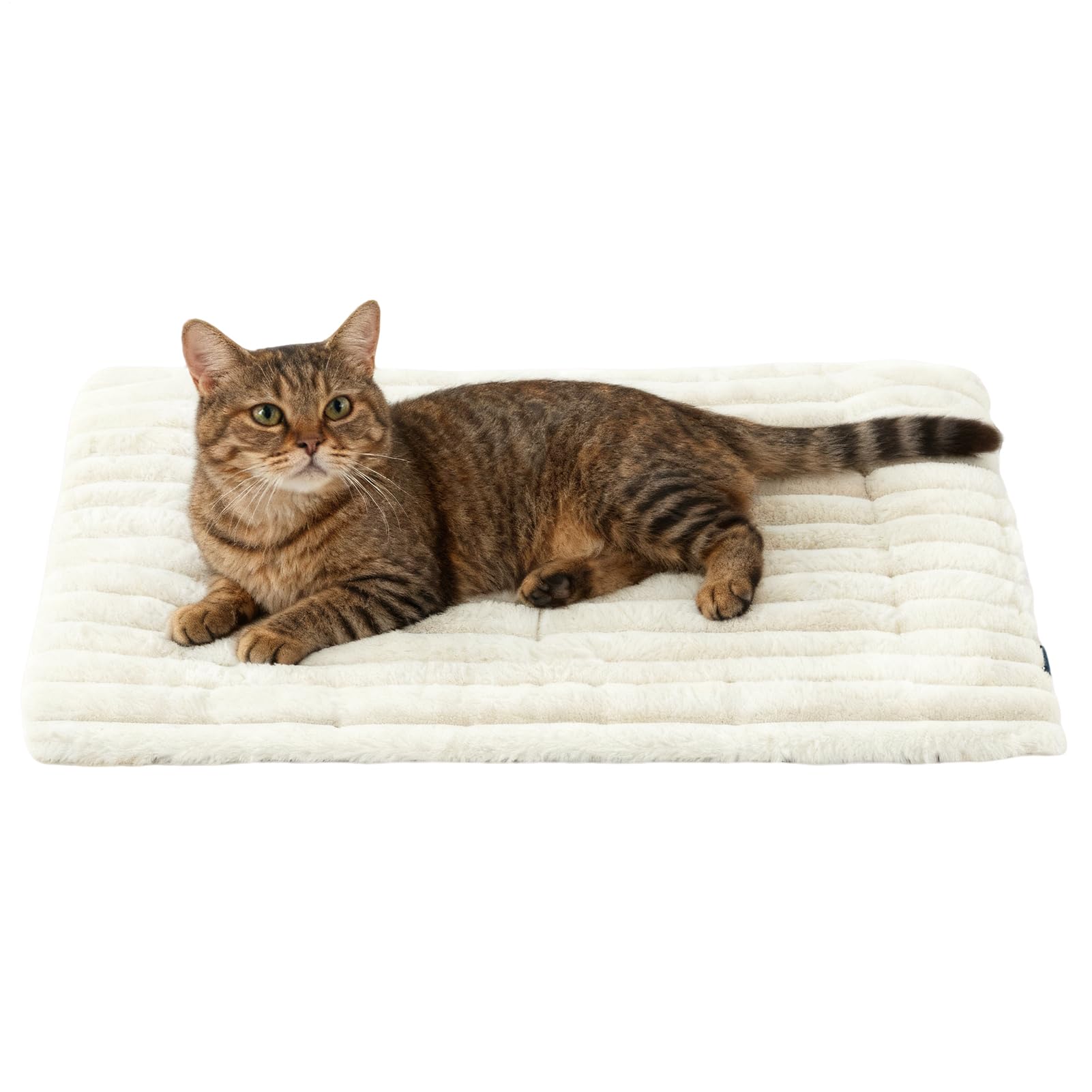Genérico Dog Carrier Pad, Pet Kennel Pad, Soft for Cat Cage – for Indoor Outdoor Travel Car Camping Kennel Dogs Cats Small