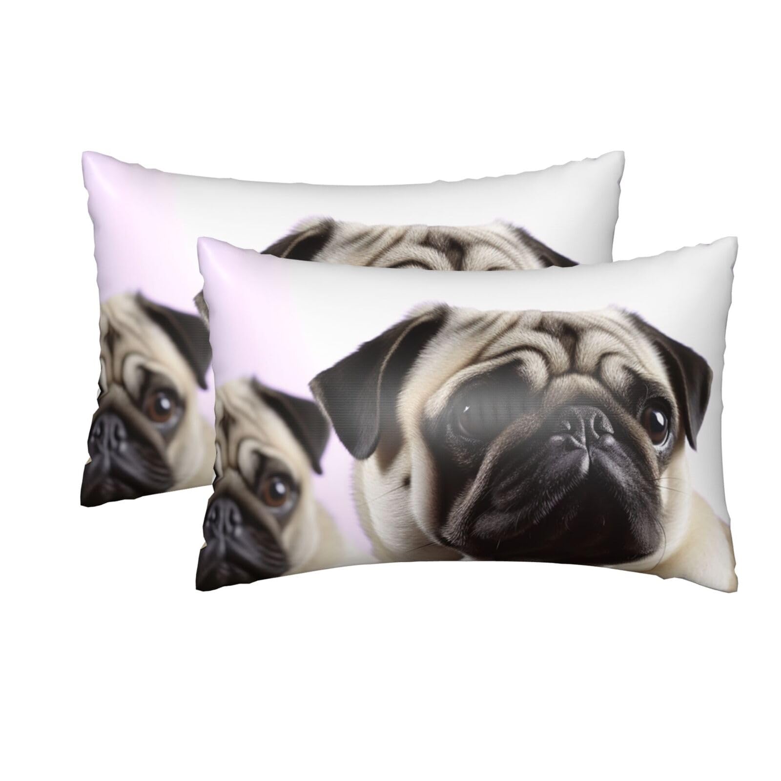 2 Pack Queen Silk Pillow Cases with Hidden Zipper, Luxury Soft Satin Pillow Covers for Hair and Skin, Pug Dog Pillowcases 20"x30" Bed Pillow Protectors Cover for Sleeping Gifts