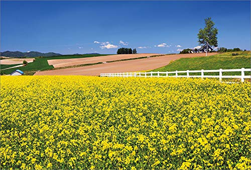 yAmazon.co.jp zVh̋uW]ƍ؂̉ l |XgJ[h3Zbg P3-170