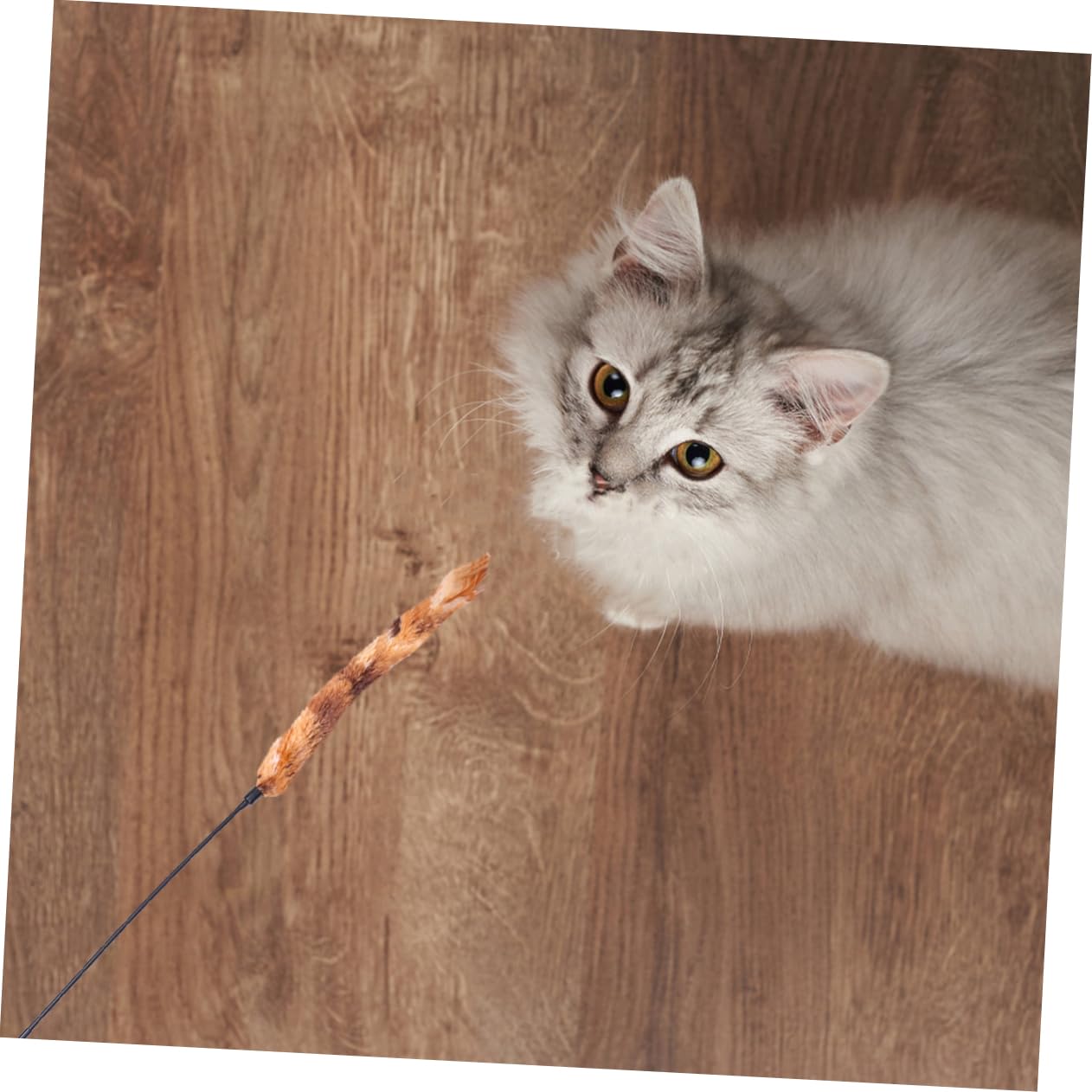 Ipetboom 15pièces Jouet Peluche pour Chat avec Rayé Et Plumes Accessoire Amusant pour Chats Renforcez Le Lien avec Votre Animal