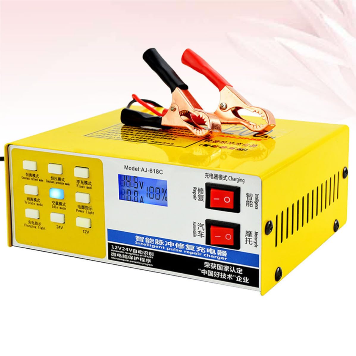 Chargeur de Batterie de Voiture 12v 24v 220w Arrêt Automatique
