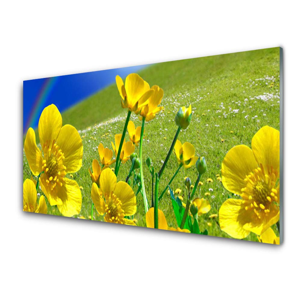Plastique imprimés tableau décoration 100x50cm effet nature pour mur moderne