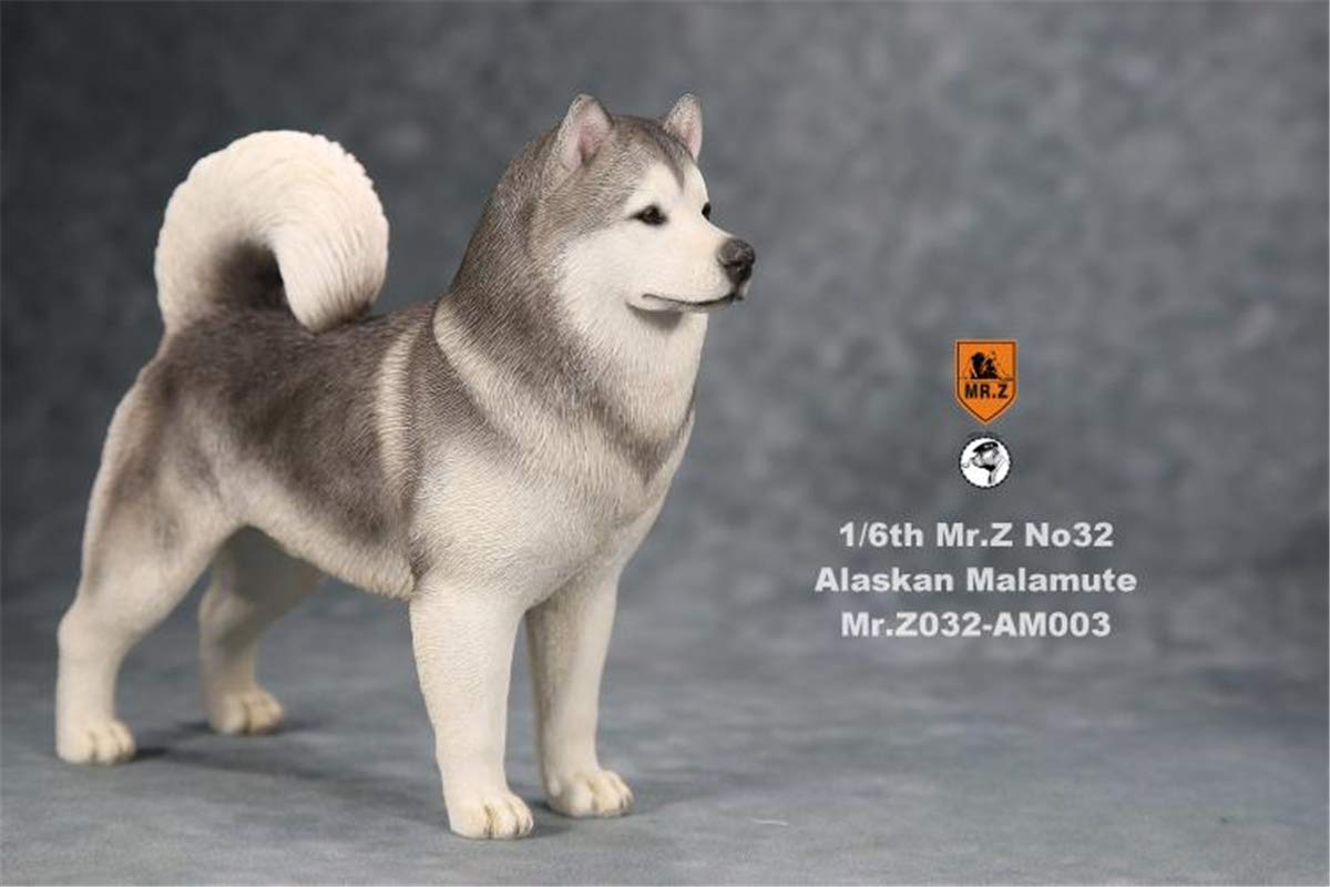 Amazon | Mr.Z 1/6 サイズ アラスカン・マラミュート 可愛い 犬