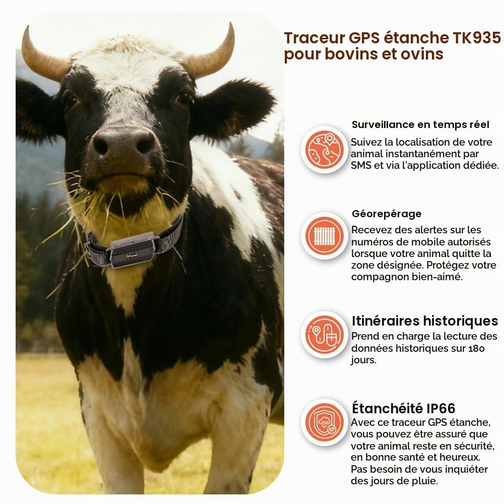 Traceur GPS 4G pour Bovins et Ovins – Collier GPS Animal TK935, Suivi en Temps Réel, Batterie 3000 mAh, Géorepérage, Historique 180 Jours, Étanche IP66 – Gestion d’Exploitation Élevage