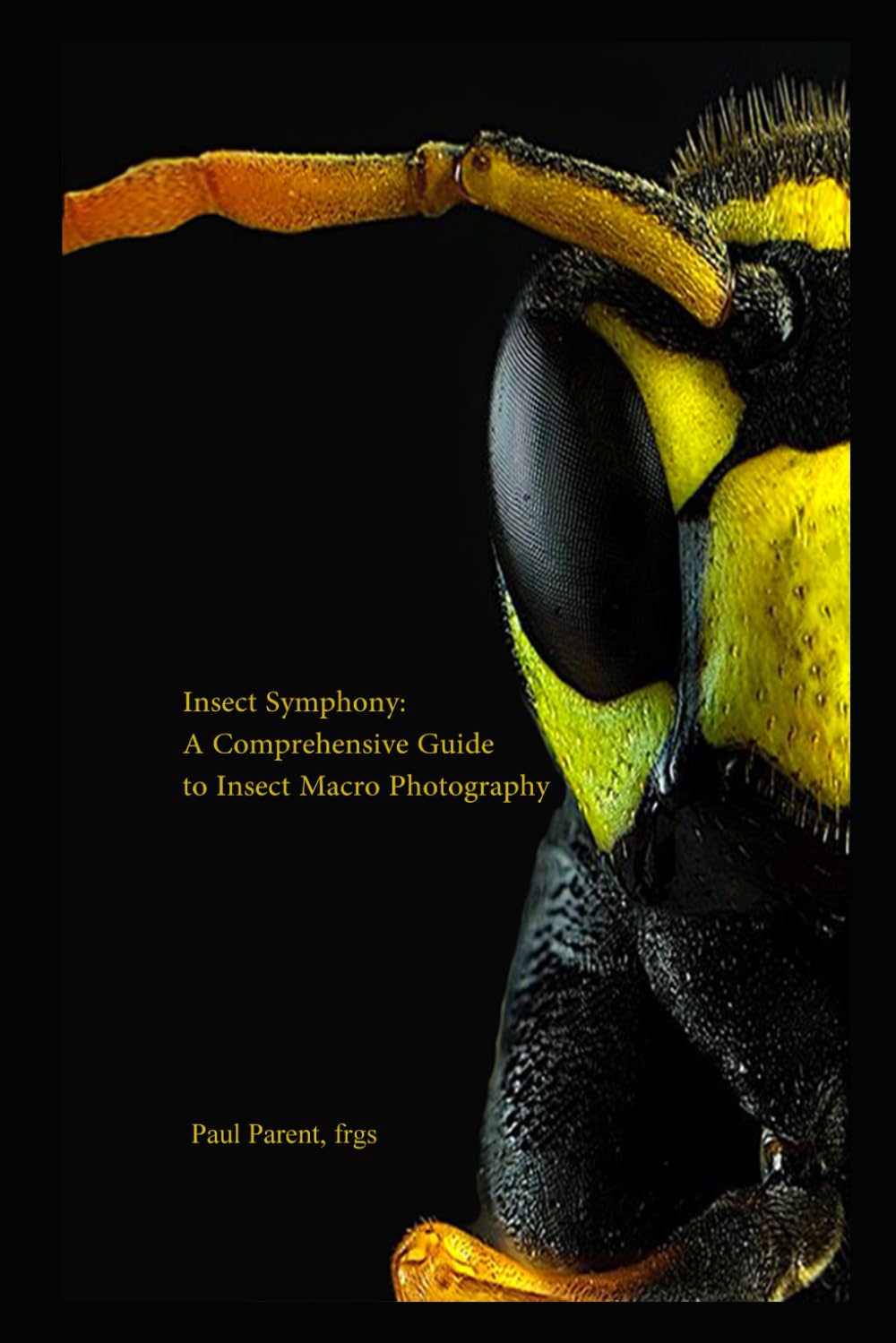 Insect Symphony: A Comprehensive Guide to Insect Macro Photography (Macro Photography Guide)