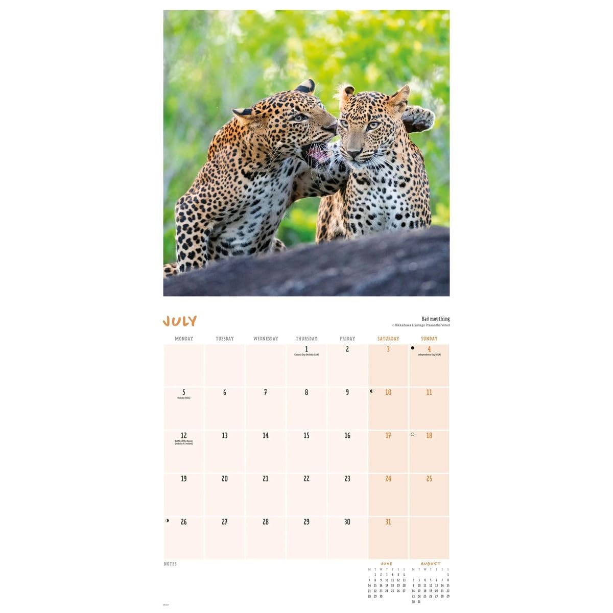 Carousel Worldwide Comedy Wildlife Photography Awards 2027 kwadratowy kalendarz ścienny, kalendarz na 12 miesięcy, zabawne, nagradzane obrazy dzikiej przyrody