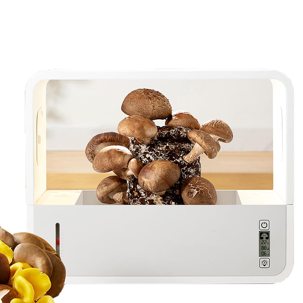 Kit de culture de champignons avec éclairage LED automatique et contrôle de la température pour spores horticulture