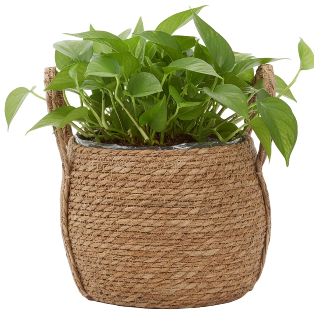 Wicker Planter Basket, 9.5 Inch Handwoven Wicker Planter with Plastic Liner for Plants, Decorative Indoor Plant Basket with Handle for Home Decor, Storage & Wedding, Ornaments extérieurs