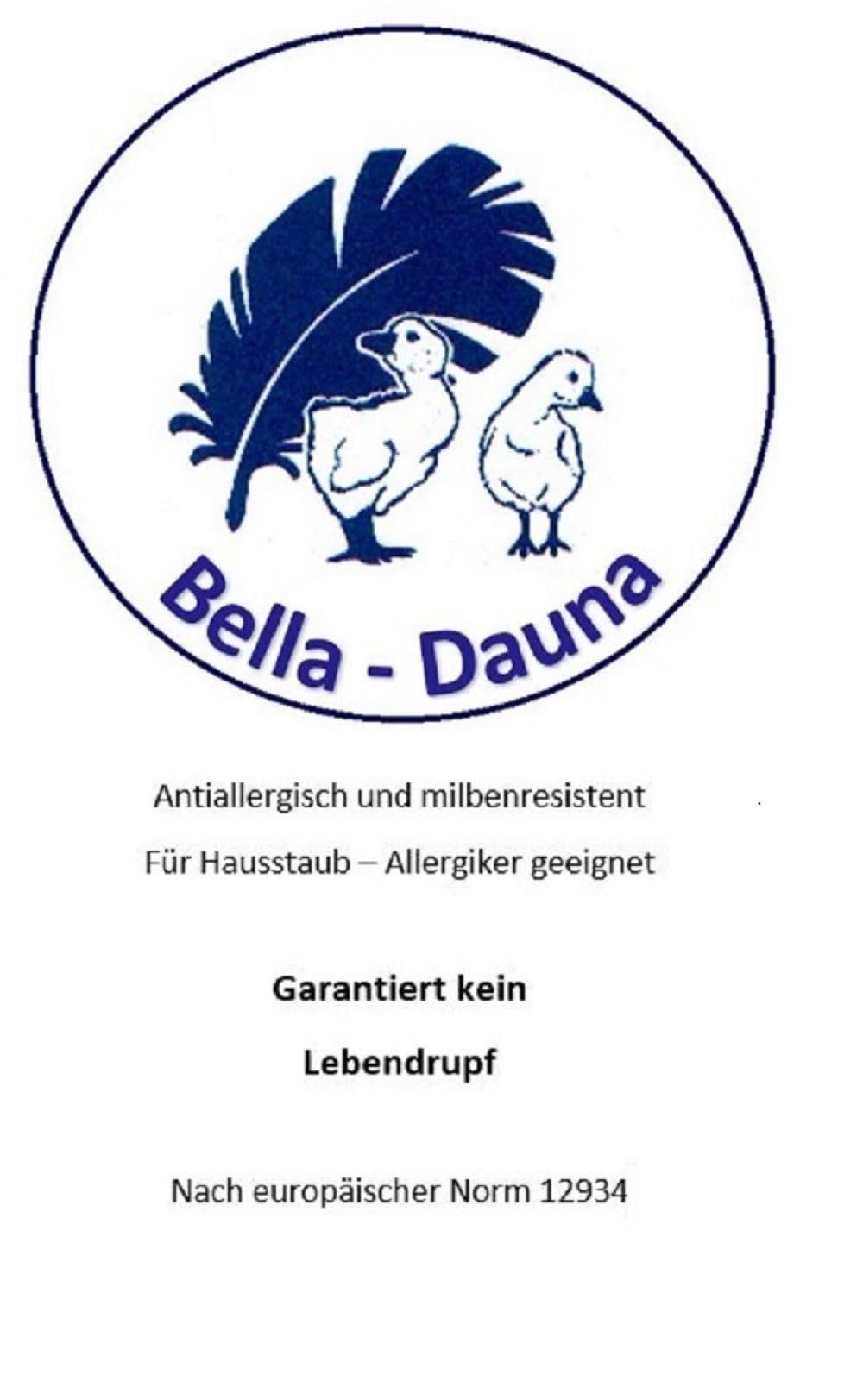 Betten Hofmann Exclusives Daunen Kopfkissen 80x80 cm, 850 g Füllgewicht, Daunenkissen, Kissen, prall gefüllt, 100% Daunen, 100% Natur,