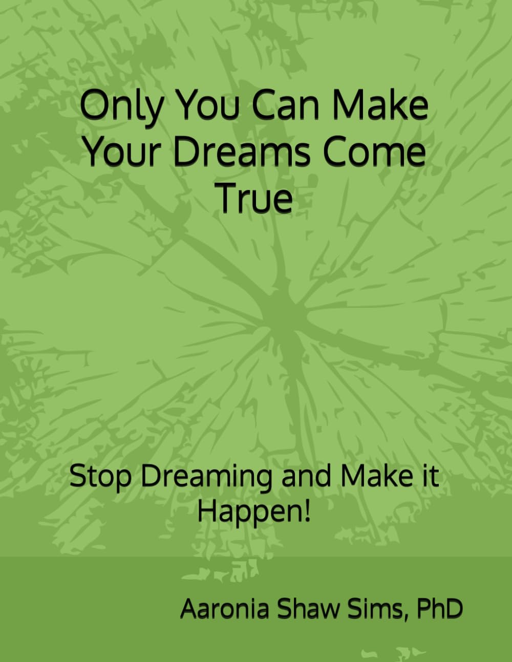 Only You Can Make Your Dreams Come True: Step By Step Get Started Guide Included