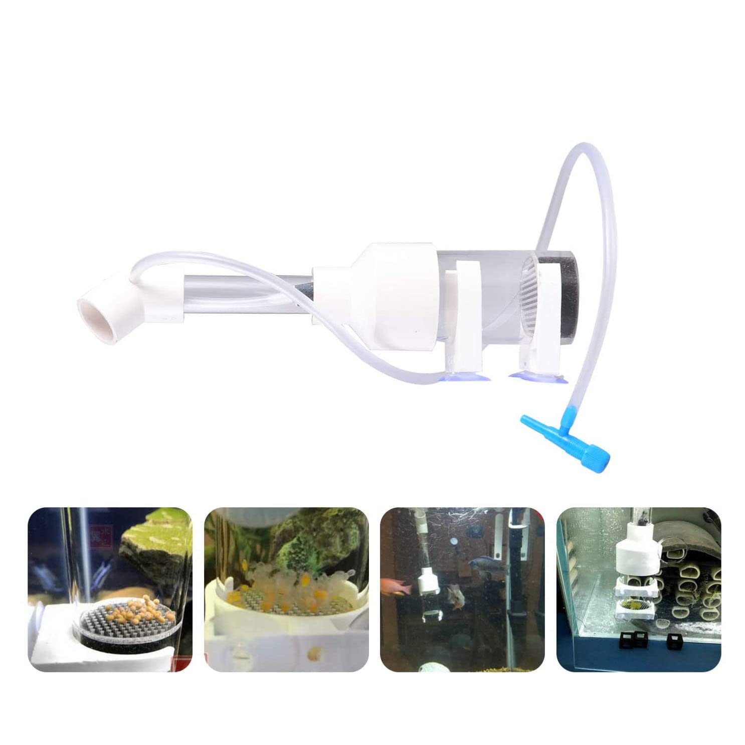 Incubateur d'œuf de poisson pour bébé - 50 mm - Pour aquarium, cichlidé, aquarium