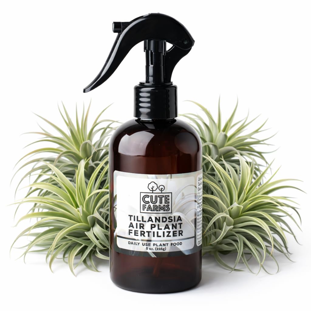 Cute Farms Tillandsia Air Plant Fertilizer | Gentle Daily Use Formula Plant Food | Formulated Nutrients for Air Plants (8 oz. Spray Bottle)