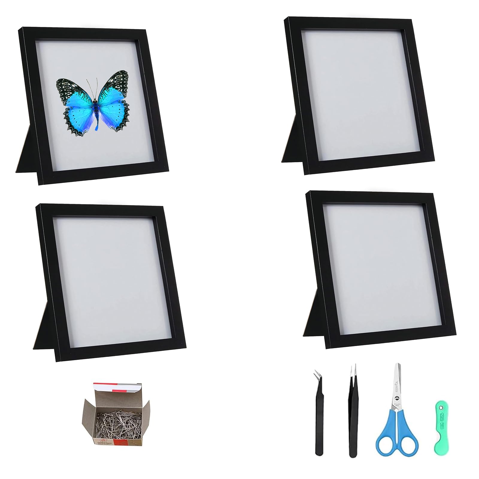 4 Pièces Vitrine à Insectes Murale, Boîte de Présentation D'Insectes pour Spécimen de Papillon avec Panneaux en Mousse EVA,pour Les Amateurs d'insectes,15,1x15,1 cm
