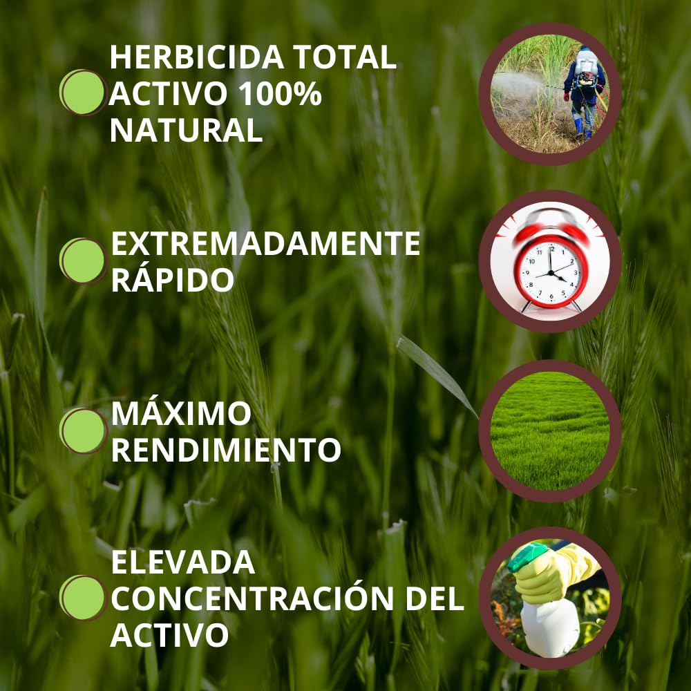 VITHAL Garden Herbicida Total Ultra Concentrado 500 ml - Acción Rápida en 15 Minutos, Eficaz Contra Malas Hierbas y Musgos - Activo 100% Natural, Hasta 250 m², Uso Todo el Año