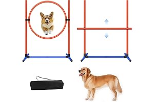 2-Set Dog Agility Training Course