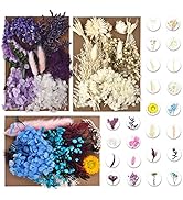 DALARAN 3 Pack Dried Pressed Flowers for Soap Candle Making and Resin Multiple Natural Pressed Fl...