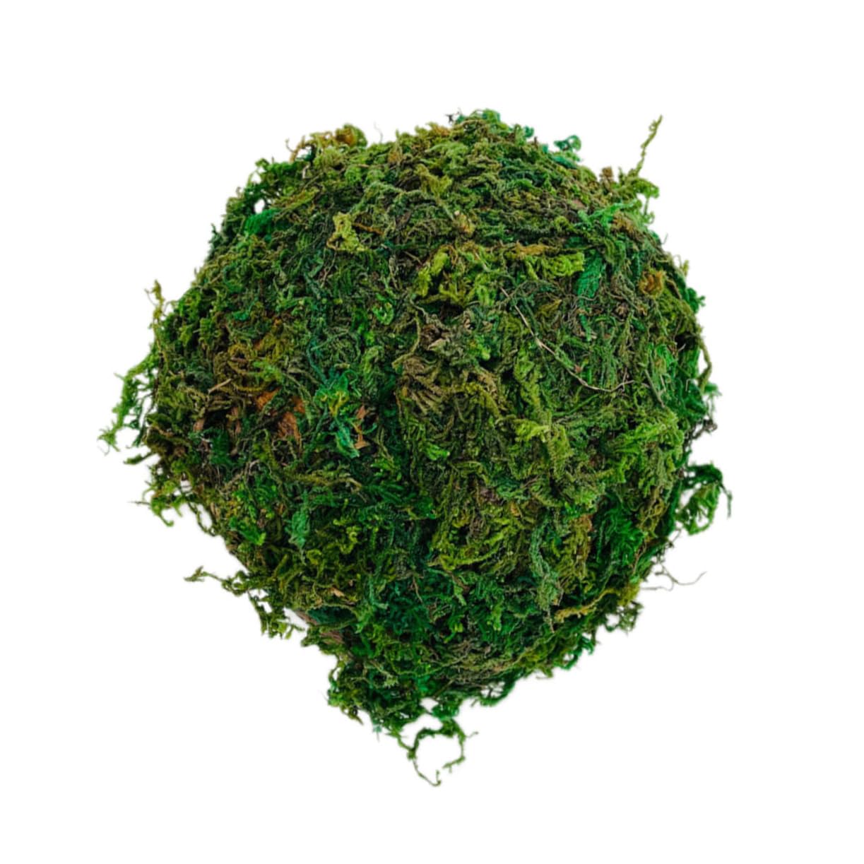 HOUDERCO Box Decorative Reptile Shelter Lifelike Tortoise Basking Platform Lizard Hiding Cave for Reptile Decor Green Color for Creating Engaging Habitats