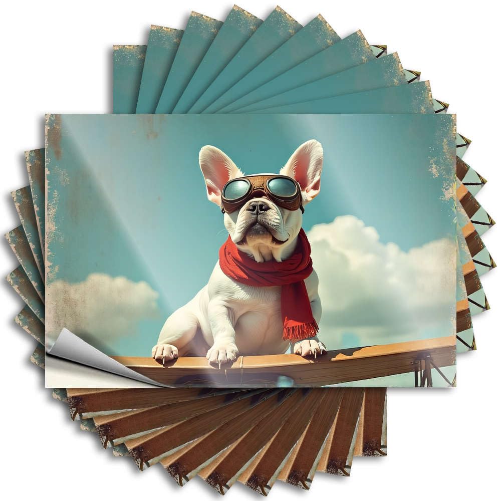Fzfn Girls Colour Sticker - Vintage Window A Bulldog Wearing Goggles And A Red Scarf Sits On A Wooden Surface For Coffee Bar Decor(12X18cm)