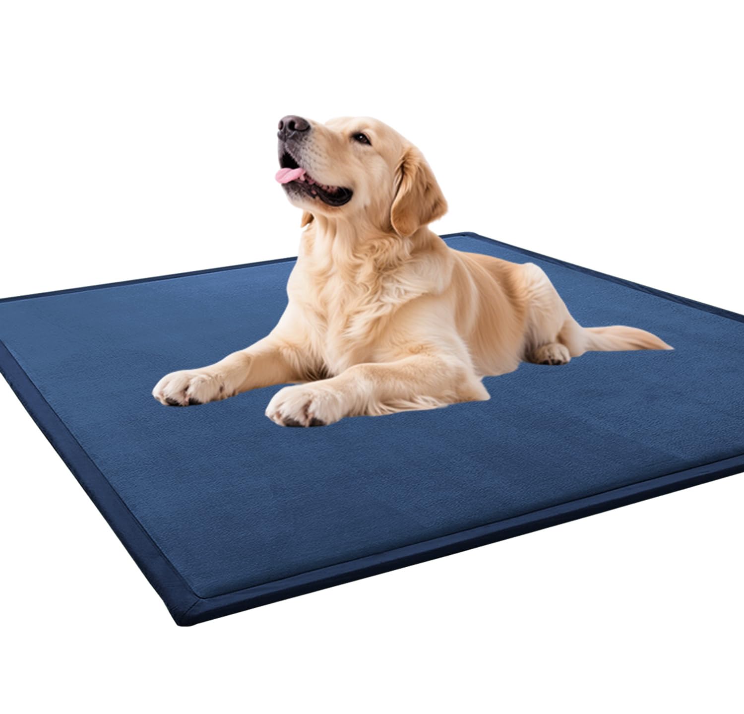 Tapis de couchage pour chiens fini les glissades avec le fond antidérapant lavable