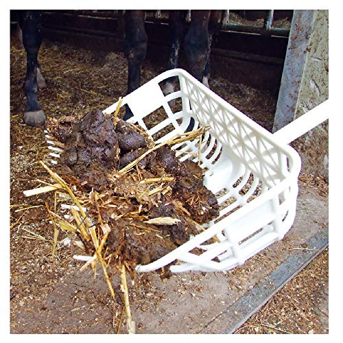 Icelandic Horse: extra stable manure fork