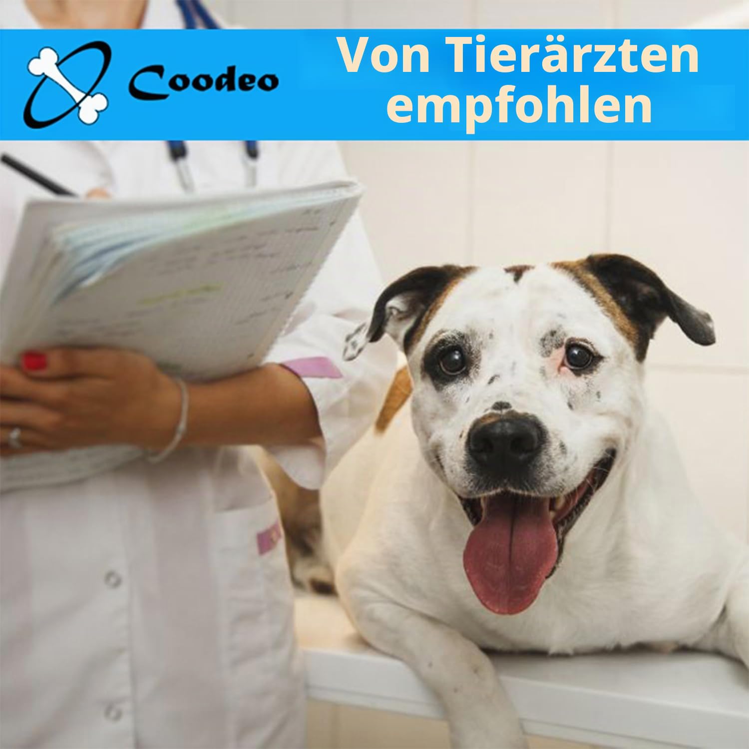 COODEO Hunderückenstütze für Hunde Arthritis, Haustier Rückenstütze für IVDD, Rückenprotektor hilft Schmerzlinderung, chirurgische Erholung &Rehabilitation, Hunde Rückenerkrankungen Prävention (XXL)