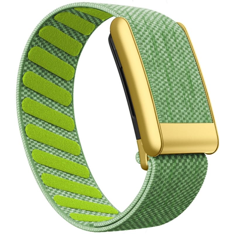 Lime-Gold Frame/5.0 Lime-Gold Frame/5.0