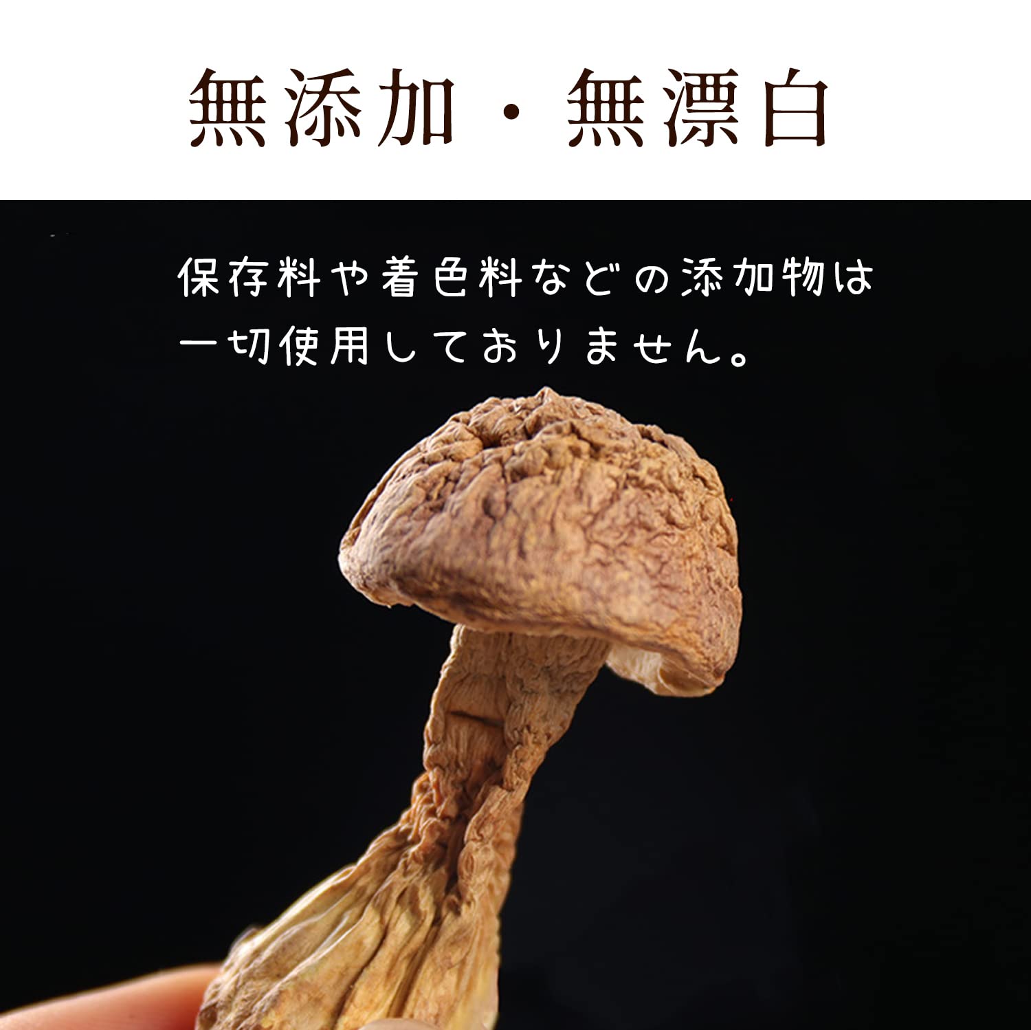 天然きのこ 松茸 国産 326g 訳あり その156 天然きのこ 松茸 国産 326g 訳あり その156