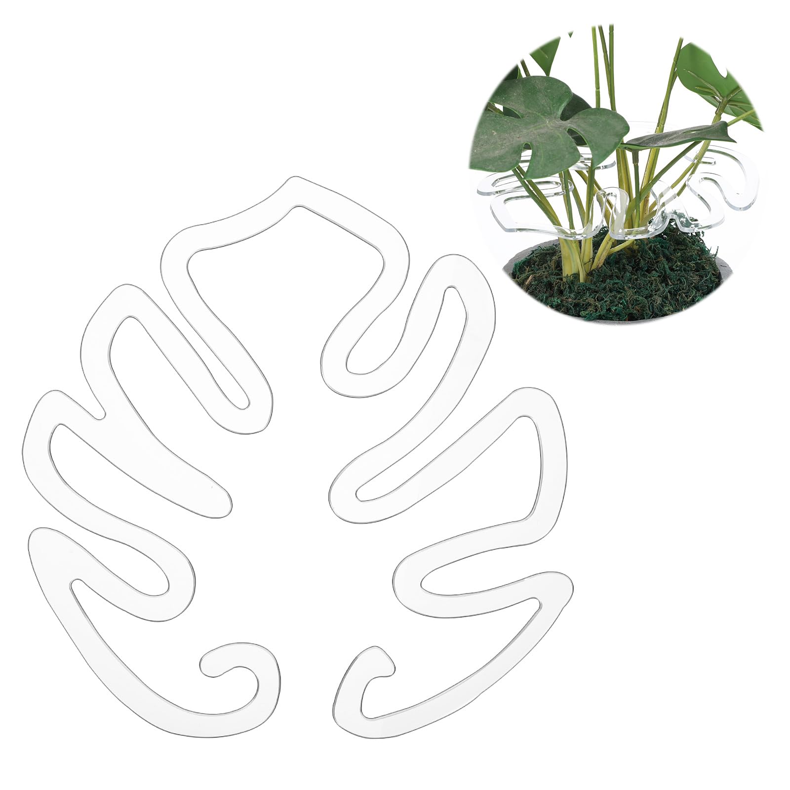 Monstera Rankhilfe Halter Form Pflanzenhalter Kokospflock Pflanzen  Stabilisator Greiferhalter Gedeihendes Wachstum Pflanzen Innen Und  Auenbereich Transparent fr Kletterpflanzen : Amazon.de: Garten
