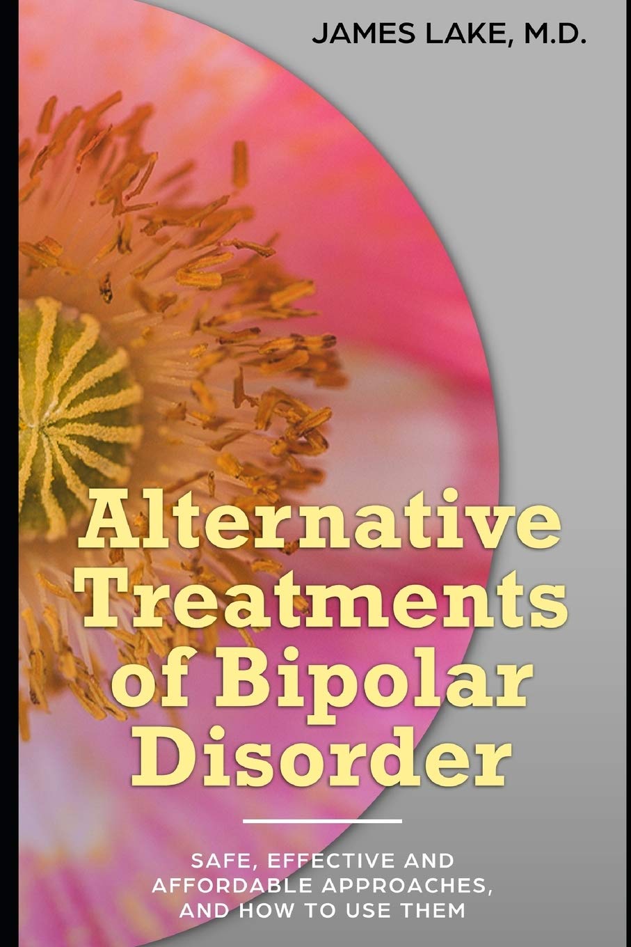 Alternative Treatments of Bipolar Disorder: Safe, effective and affordable approaches and how to use them: 4 (Alternative and Integrative Treatments in Mental Health Care)
