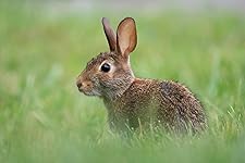 Review Image by alisha c alisha c