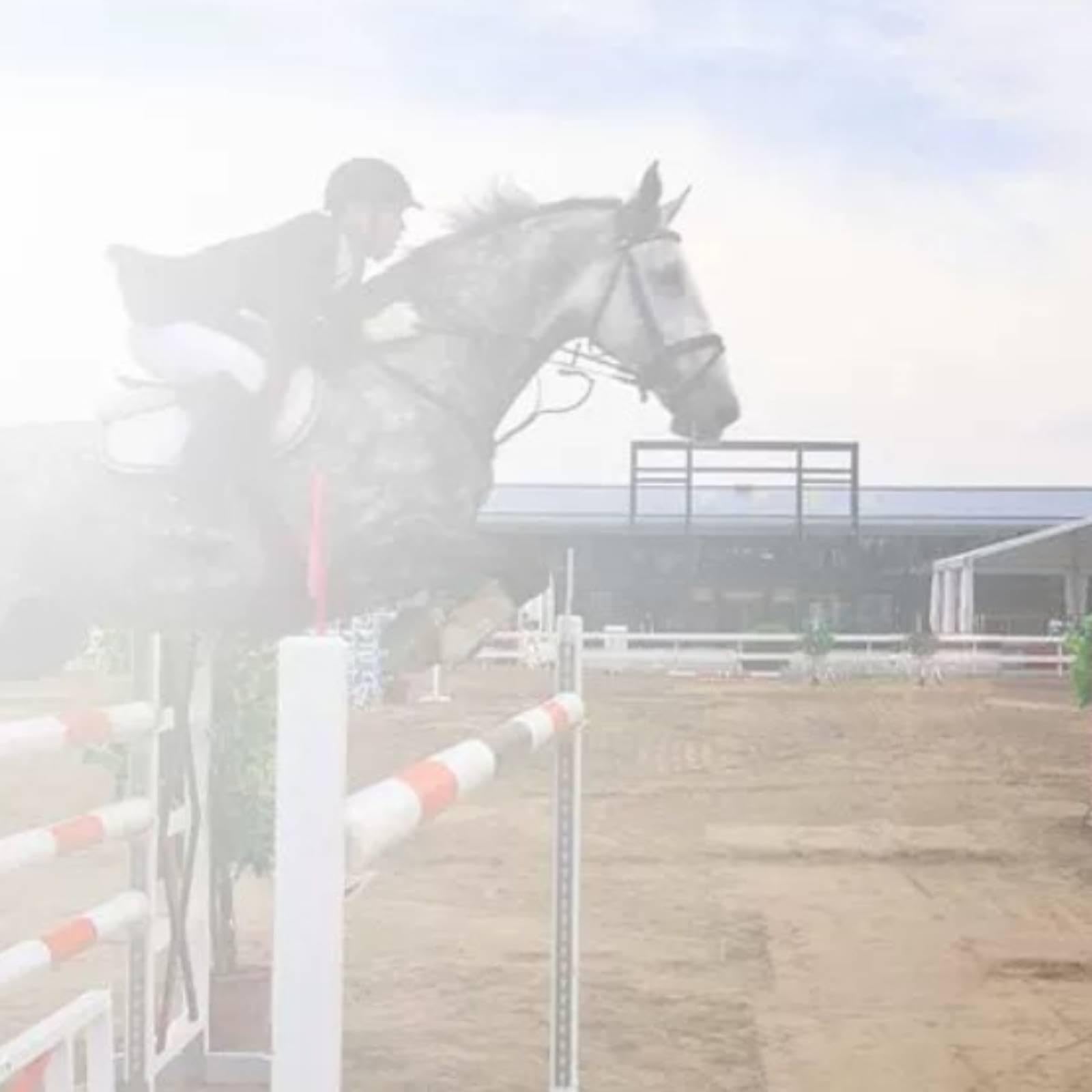 Percorso a Ostacoli con Tazze da Salto, Attrezzatura per Equitazione per Adulti, Allenamento All'aperto