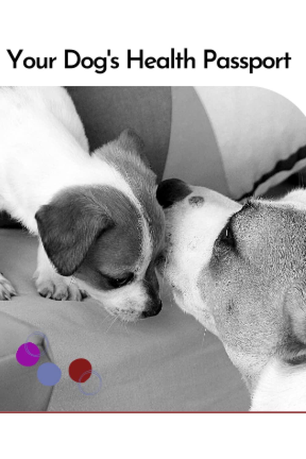 How Do You Get A Passport For Your Dog