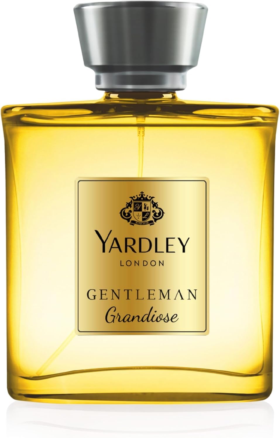Yardley Eau De Parfum Man, 100 ml | Luxury Fruity Gourmand Fragrance with Caramel, Chocolate, Amber and Woody Notes, Long Lasting, Vegan, Cruelty Free