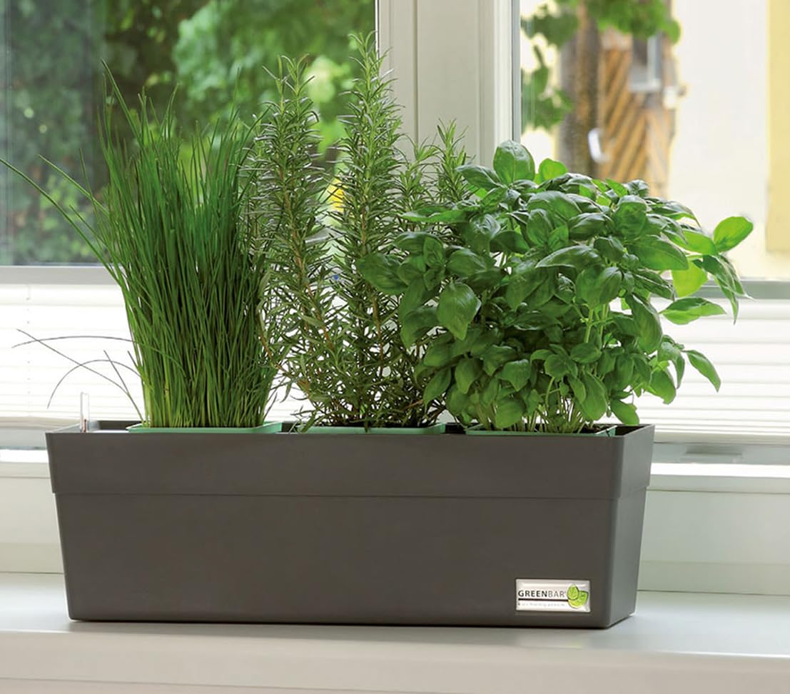 Greenbar® Kräuterkasten, für 3 Kräutertöpfe, mit integriertem Bewässerungssystem, für Indoor/Outdoor, 48 x 16 x 15.5 cm, Kunststoff, anthrazit