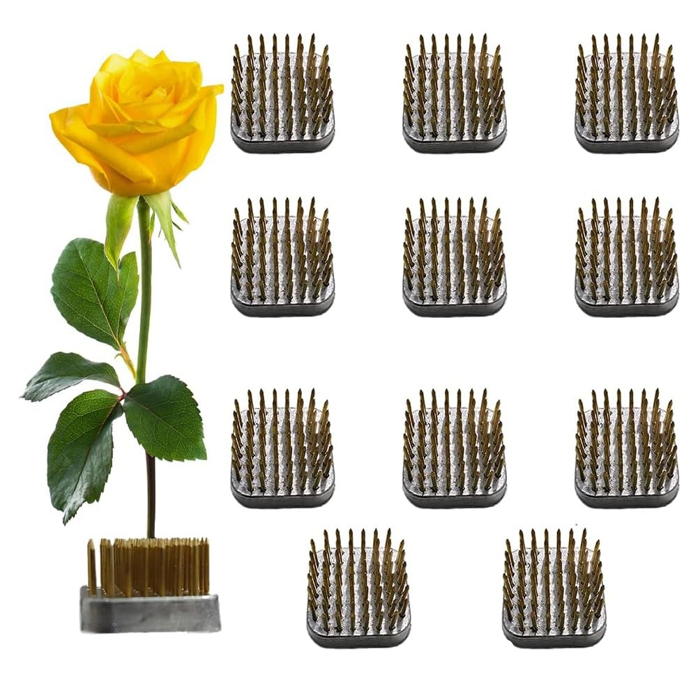 CTRLZS 12pcs Flower Frog Holder,1.2Inch Square Flower Arrangement Kenzan Japanese Pin Frogs for Flowers Fixation and Decoration