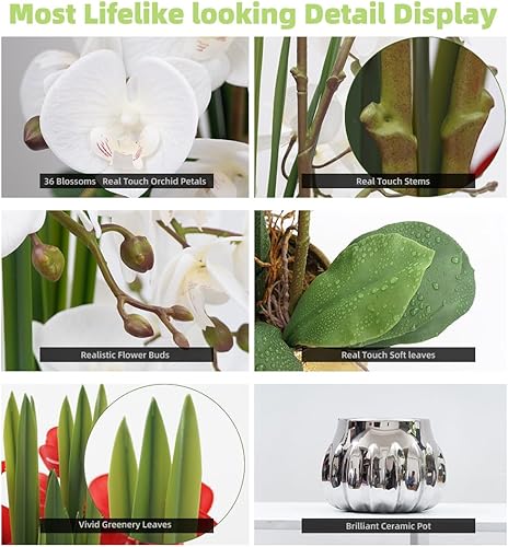 Vista 100 de CXGS Plantas artificiales de orquídeas artificiales de tacto real, orquídeas falsas en jarrón de cerámica de 20.9 pulgadas, orquídea falaenopsis