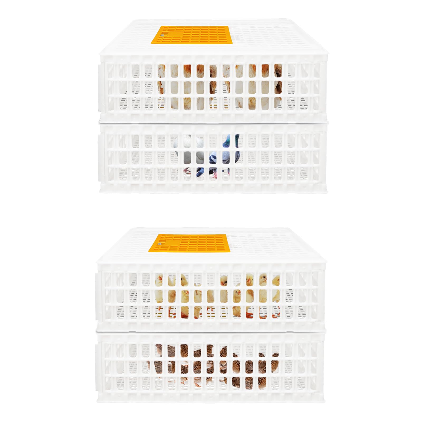 WooDerson Lot de 4 cages de transport en plastique pour poules, oiseaux, canards (blanc)