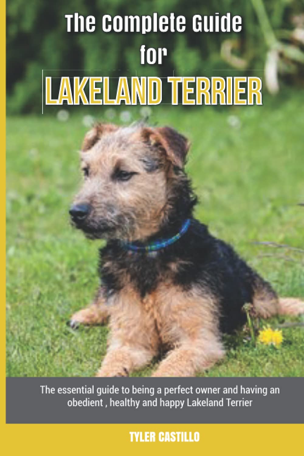 The Complete Guide for Lakeland Terrier: The essential guide to being a perfect owner and having an obedient, healthy, and happy Lakeland Terrier