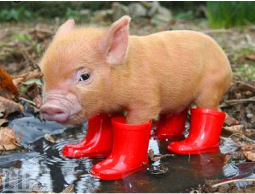 robusti stivali blu per i lavori