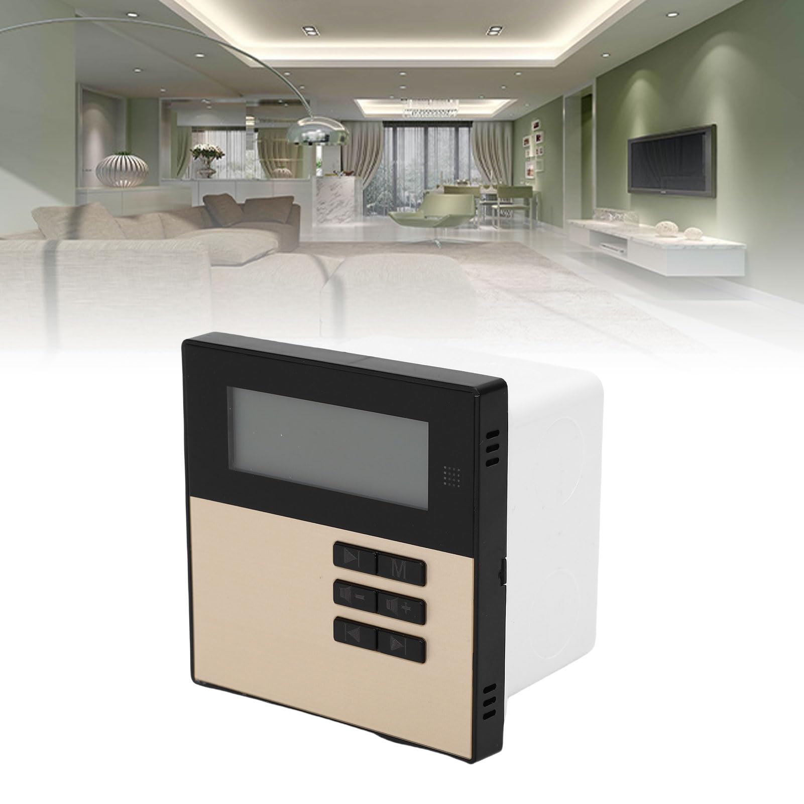 Generic Módulo Amplificador Estéreo de Pared con Soporte Multiformato para Espacios Pequeños, Potencia de Salida de 2x20W