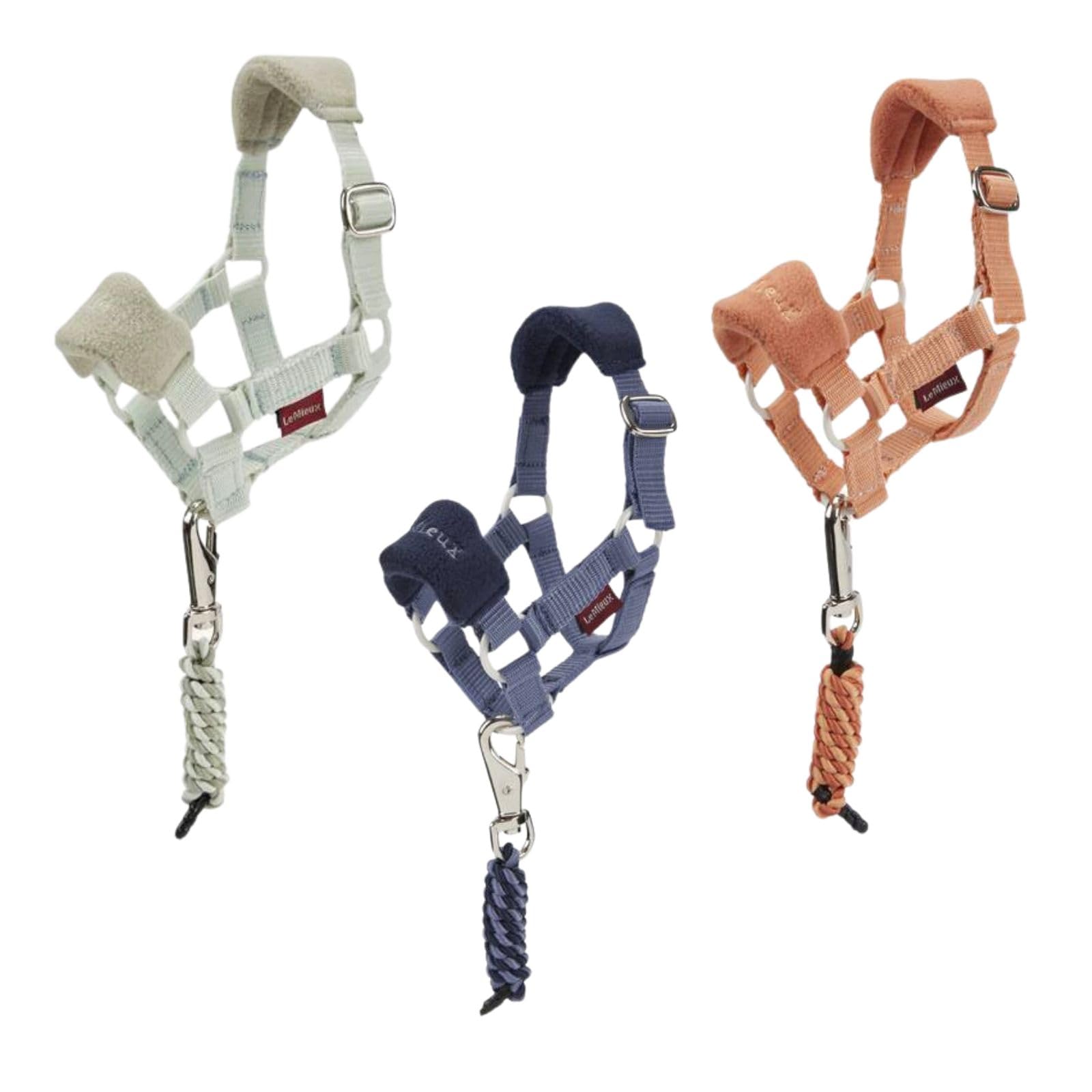 LeMieux Mini Toy Pony Vogue - Collares para la cabeza