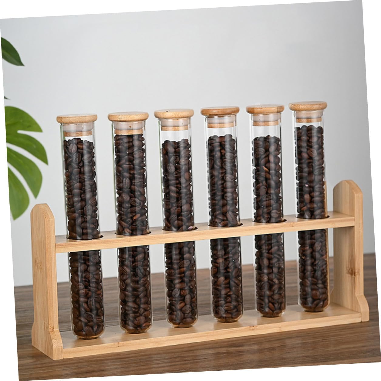 Glass Coffee Bean Storage Tubes with Airtight Sealed Vials and Wooden Display Stand Compact Multi-functional Canisters for Coffee Shops Offices and Spaces Easy to Assemble and