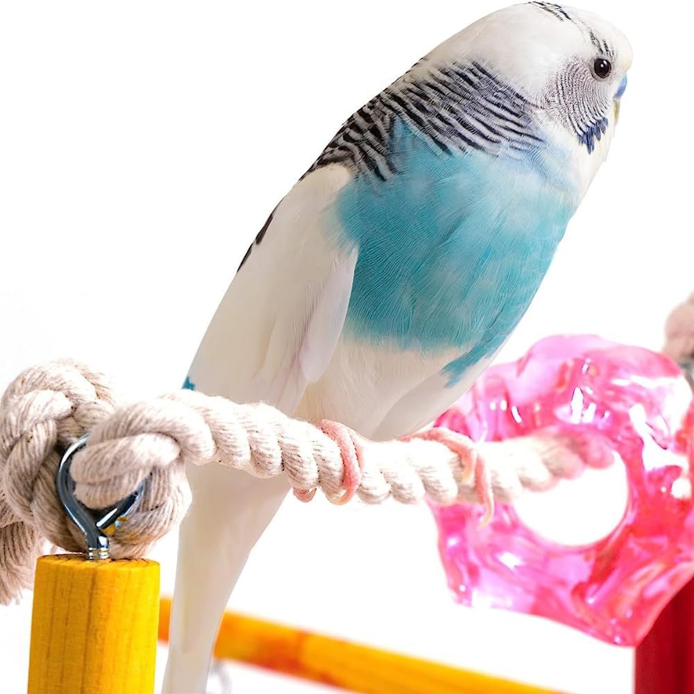 Penn-Plax Bird Life Wooden Playpen – Perfect for Parakeets, Lovebirds, Parrotlets, Cockatiels, and Green Cheek Conures – Medium