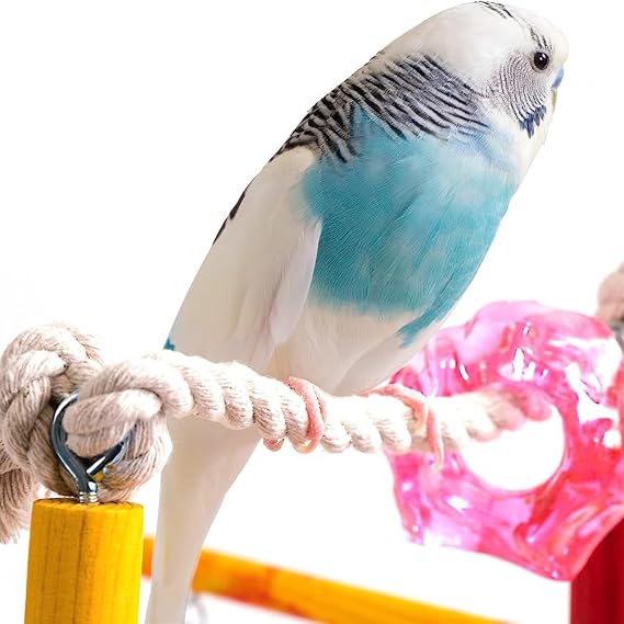 Penn-Plax Bird Life Wooden Playpen Perfect for Parakeets, Lovebirds, Parrotlets, Cockatiels, and Green Cheek Conures Medium
